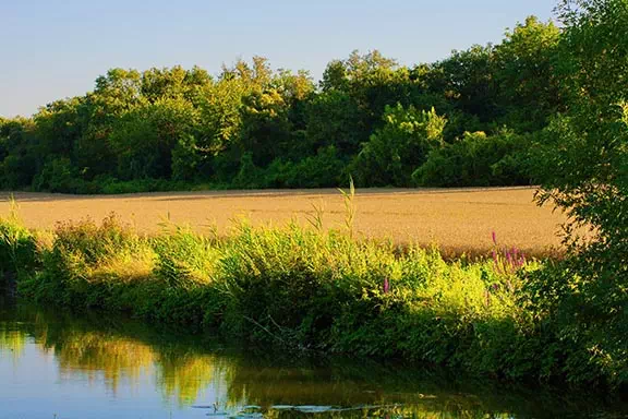 Jardin du Chizé