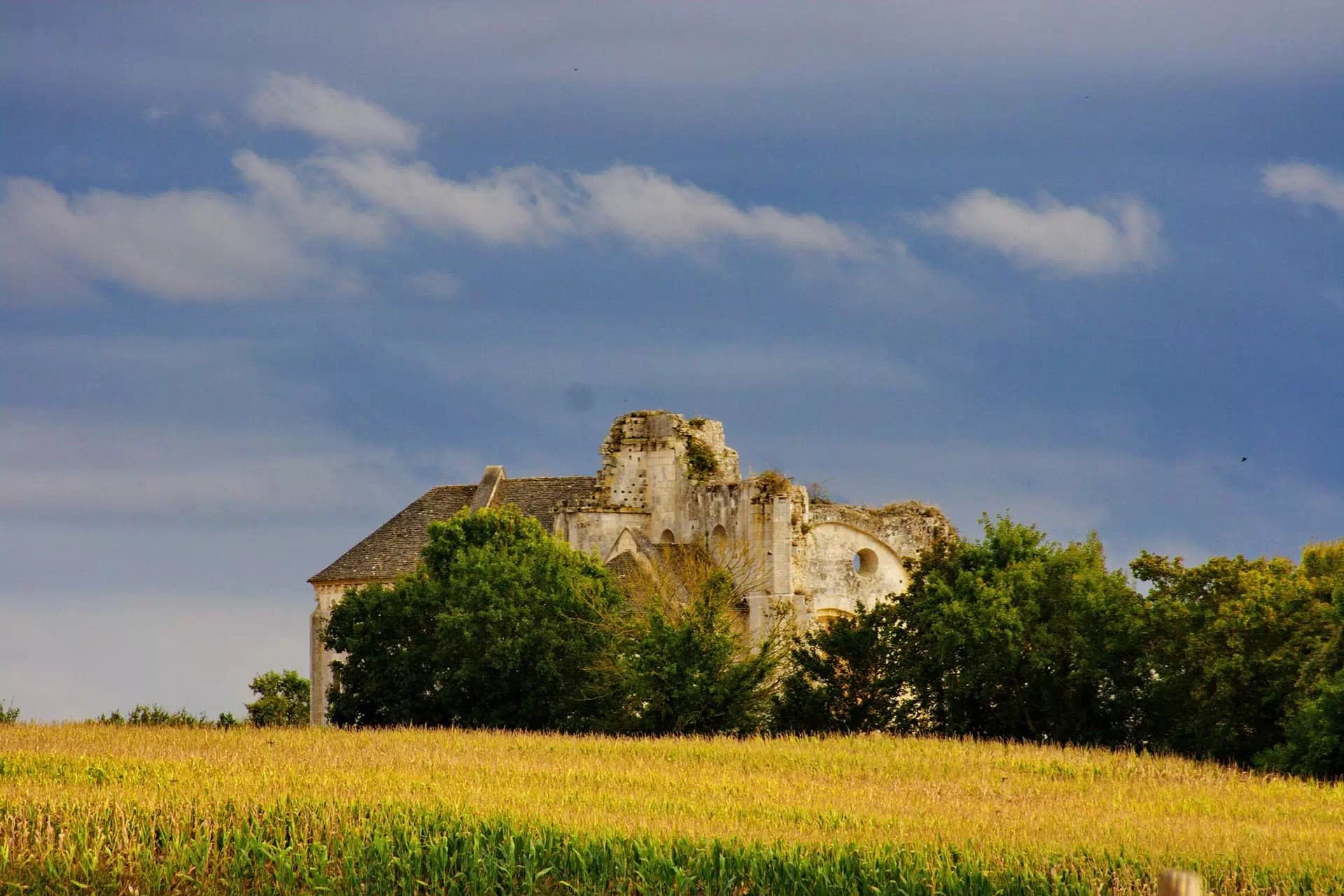 Abbaye de Trizay - Charente-Maritime