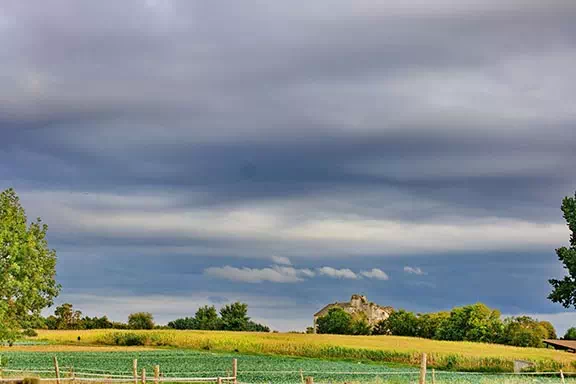 Jardin du Chizé