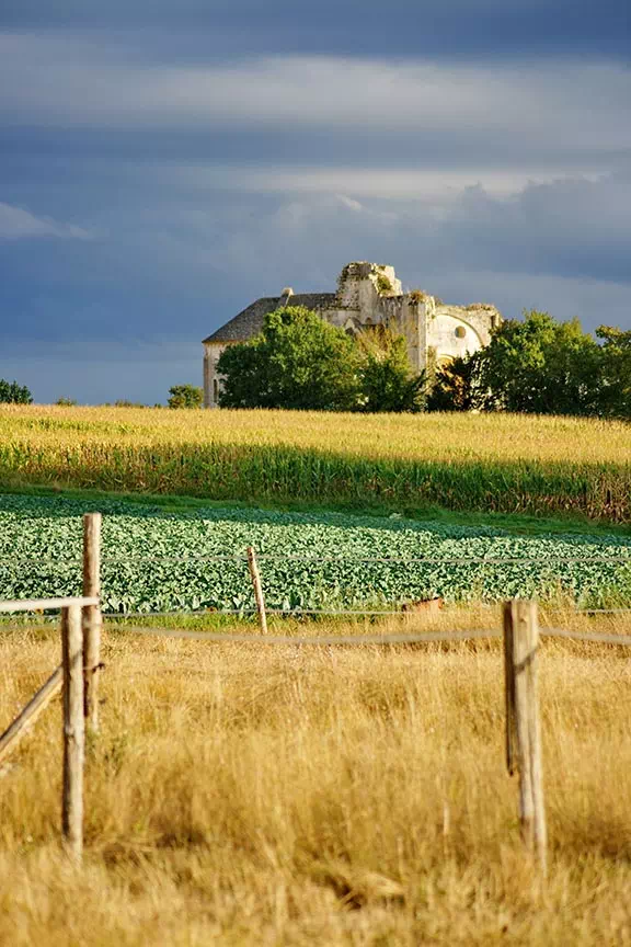 Jardin du Chizé