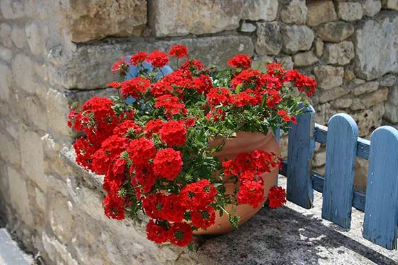 Jardin du Chizé