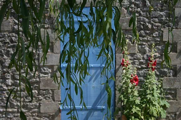 Jardin du Chizé