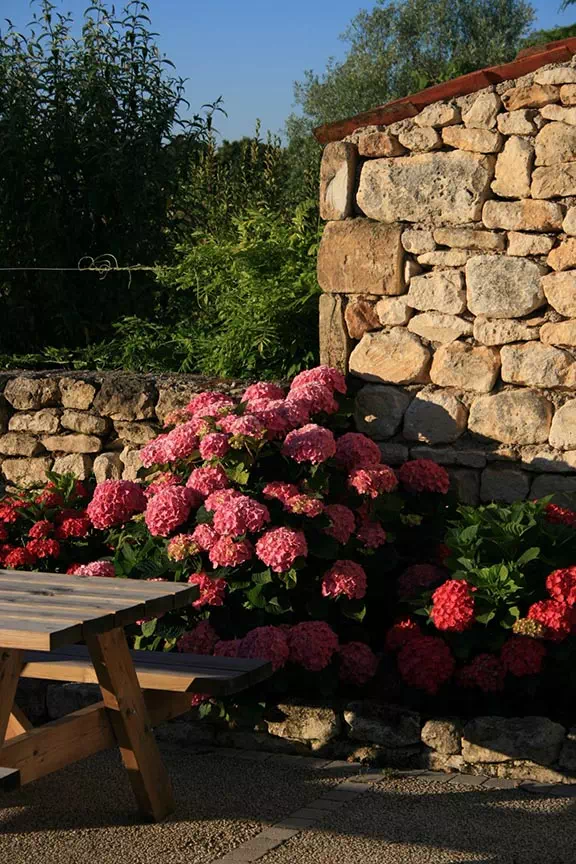 Jardin du Chizé